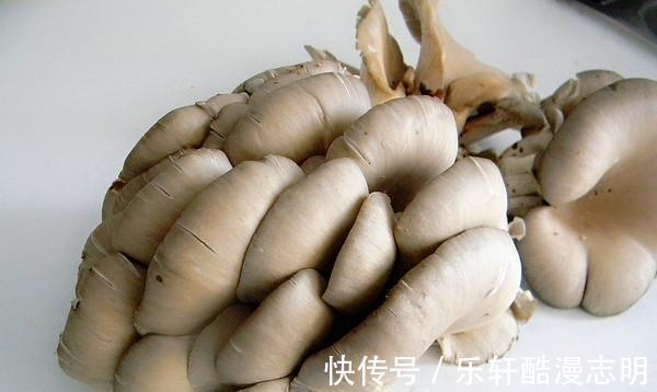 脱发|一定要学会这道菜,脱发慢慢远离,邻居都夸比以前年轻10岁