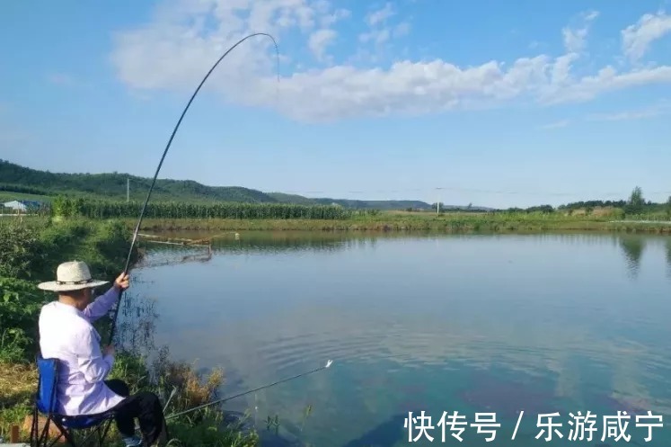 逃离喧嚣 悦享静谧茶园好时光|夏日悠游 | 茶园