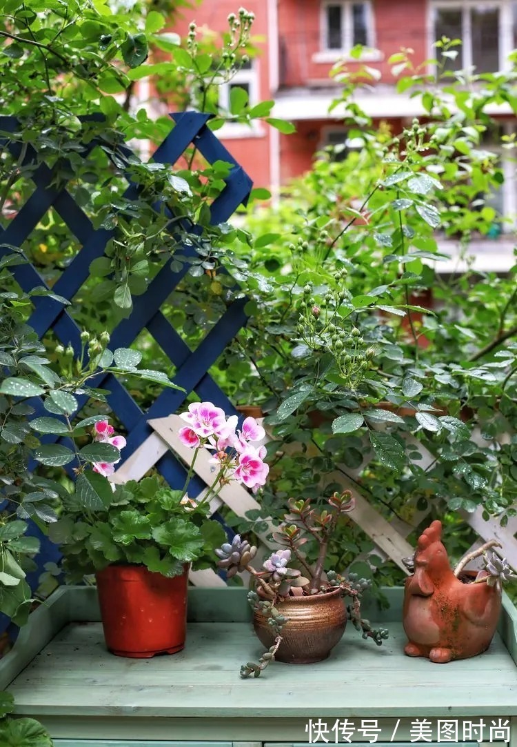 薇月|四年前,接手了朋友带120㎡院子的房子,打造成花园后朋友羡慕了