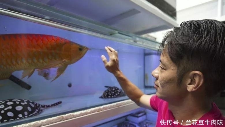 涨姿势 · 龙鱼: 你嫌我丑给我各种整容, 还指望我给你转运? ?