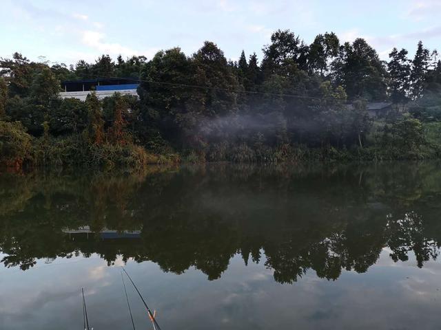 钓位|某些钓鱼人,请你自觉点,这些不齿之事难登大雅之堂,别再丢脸了