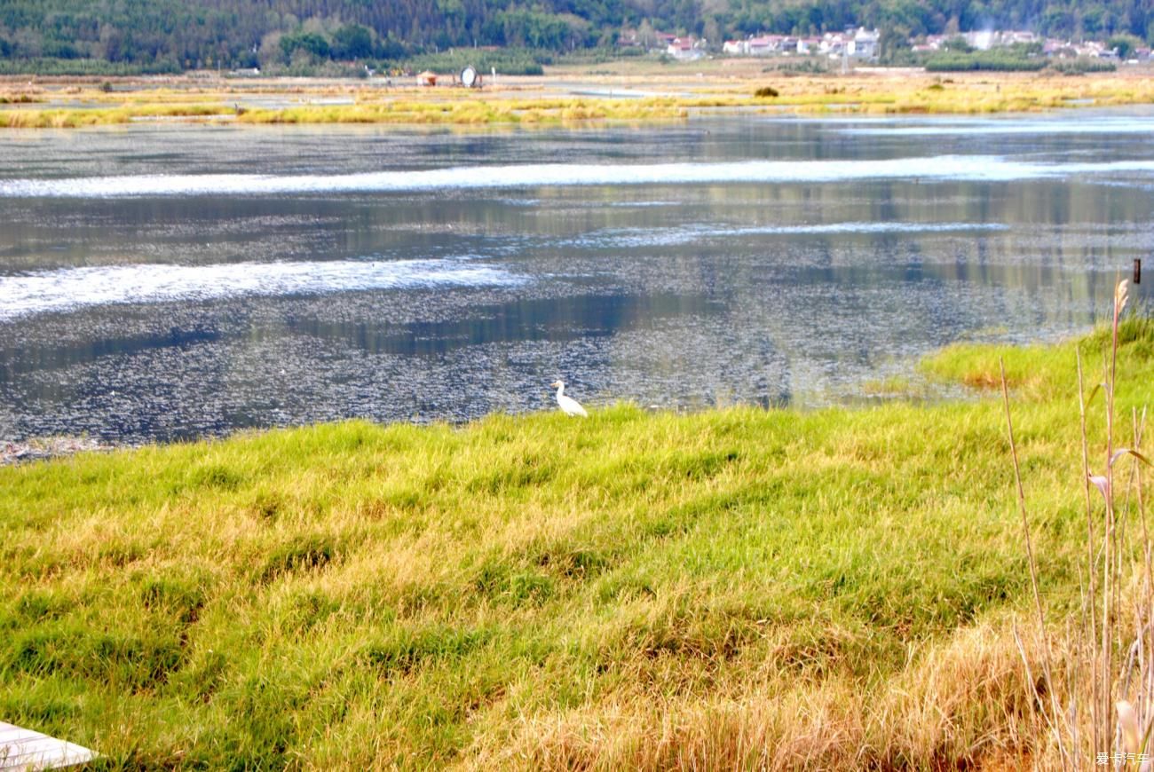 湿地|北海湿地小镇