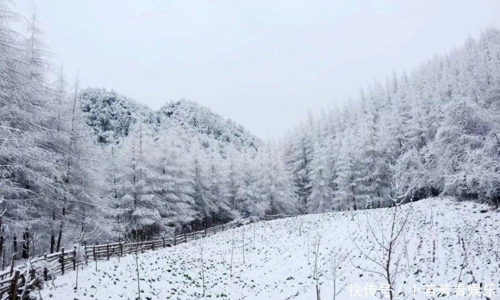 雪天|一到雪天，李家就美成了壁纸！