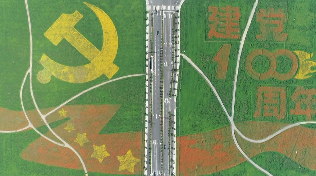 土地|临平闲置土地变身百亩花海 献礼建党百年