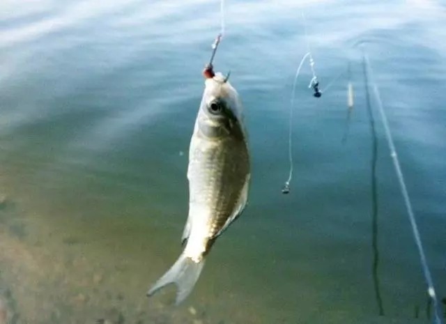 知道这些子线缠绕的原因,下次你的线组就不会裹缠到一起了