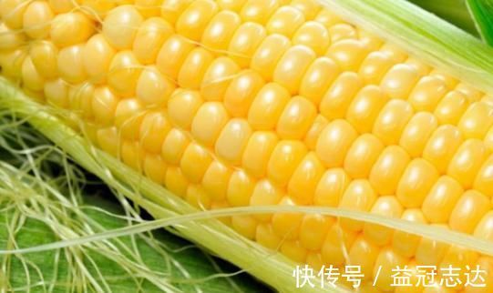 低脂肪|吃玉米不会使血脂升高?医生:血脂高的人,尽量少吃这3种食物