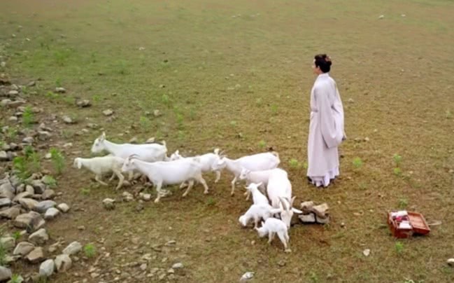 苏武|将军率五千人马击退八万敌军,汉武帝听后灭了他全家,成千古罪人