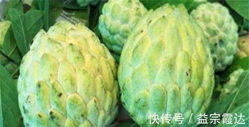 活血补气|会吃的人更健康，坚持常吃三种食物，活血补气，排毒美容