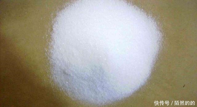 富贵竹生长有个“小开关”,用一次叶子绿油油,再没黄叶!