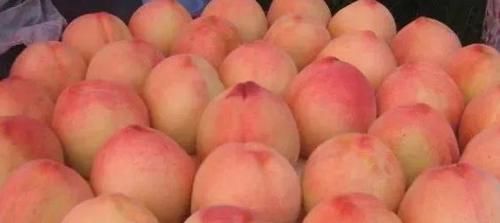 热量|女孩体重若是超过百,就不能碰“4种”水果,小心热量太高易发胖