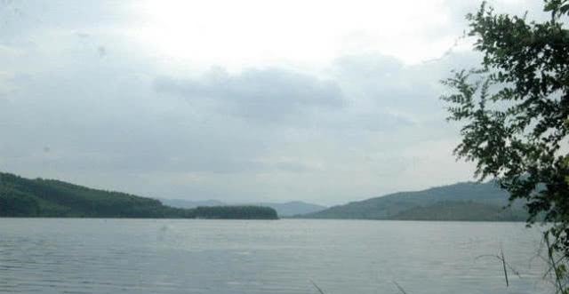 钓白条鱼真是累人,用我分享的方法,只要你下钩,它就在那等你