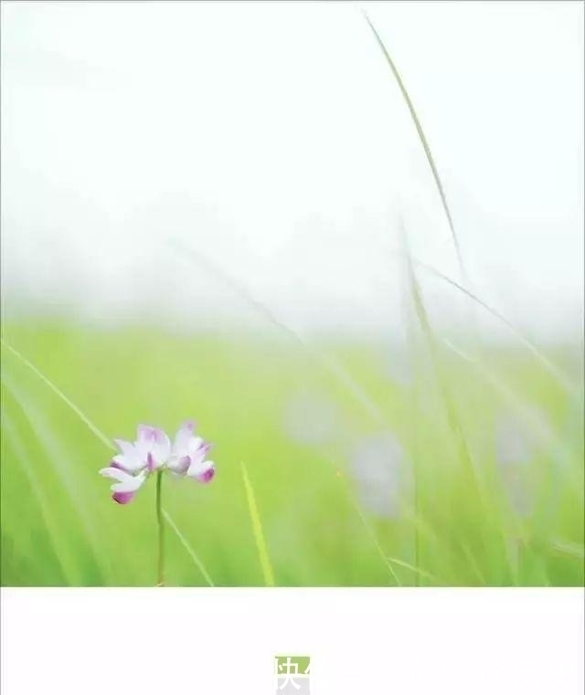  申遗|诗词大会御用画师林帝浣：作品董卿盛赞，24节气申遗成功离不开他