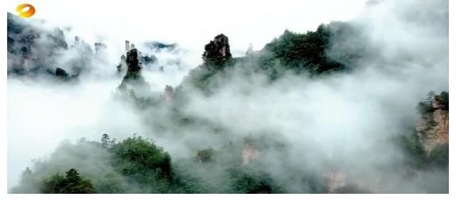 节目|一档故意想让人睡觉的节目，《风度中国》也太反常规了吧