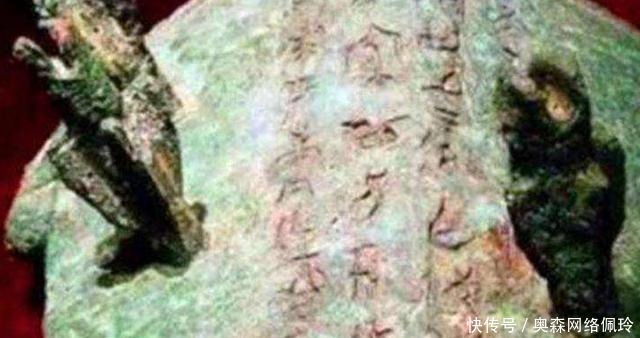 河边|老人河边钓鱼钓到一“乌龟”,背上插4支箭,专家看后说值18亿