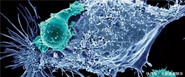 “泡泡男孩”:12岁才走出隔离罩,在死亡前第一次触摸到了妈妈