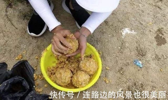 绝招|老钓手这绝招果然够狠“对付”大草鱼绰绰有余，后悔现在才知道