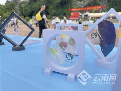 云南野生动物园|第五届云南省中小学生野生动物绘画大赛圆满落幕 投稿作品超15000幅