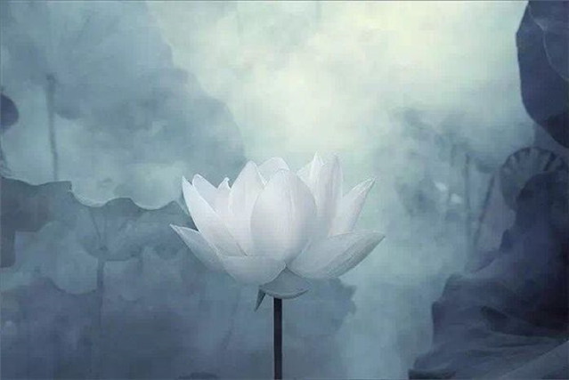 沈亚之&杜牧很经典的10句诗,气势恢宏,堪称千古佳作