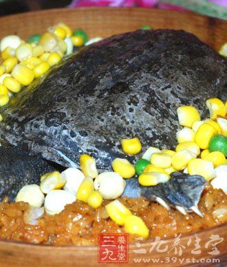 冬季補腎滋陰首選10款甲魚滋補食譜