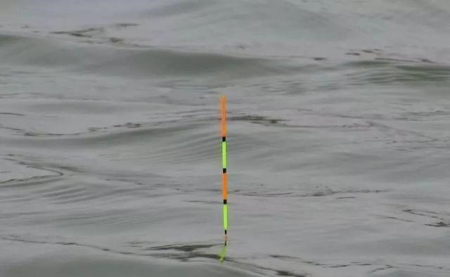 漂相很稳就是打不中鱼?解决起来挺简单,但要排除一个问题