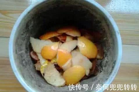 老花匠养花,从不买花肥,仅仅在盆里倒点“渣滓”,养啥都能旺!