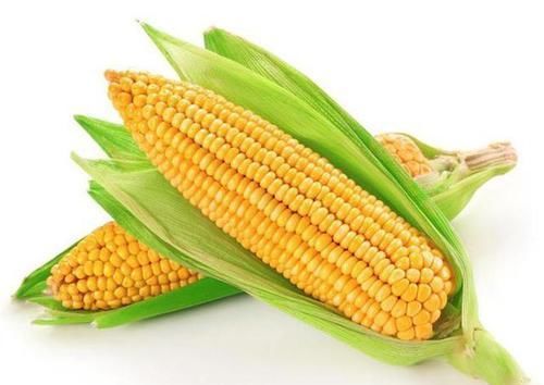 聪明女性都在吃三种食物，排毒养颜、增强体质，早吃早受益！