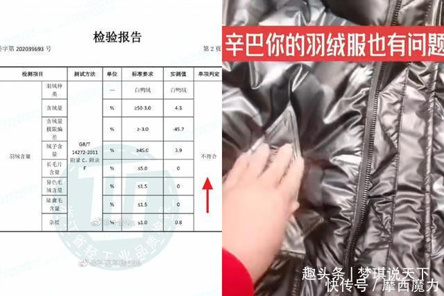 发酵|辛巴燕窝事件后，羽绒服事件再次发酵