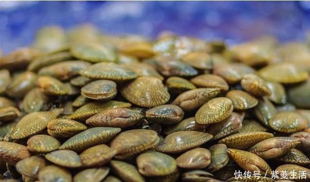 软坚|一味不被人熟知的良药,“除一身之湿消水肿,软内外硬结散瘿瘤”