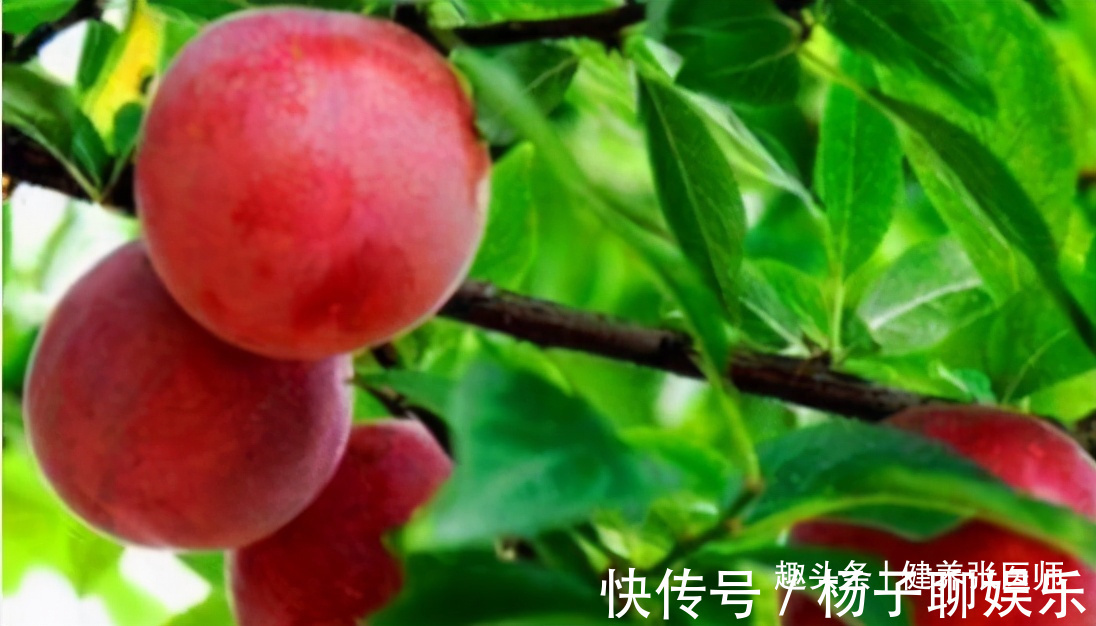 香蕉片|女性不想显老，推荐常吃以下食物，美容养颜，排毒清脂，润肠通便