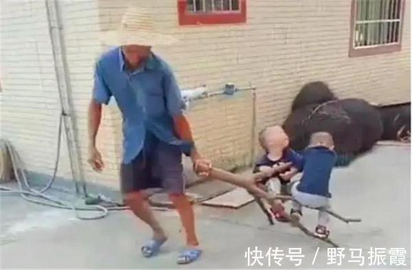 双胞胎|太爷爷遛娃神车火了,双胞胎玩嗨了,网友:再好的玩具车也比不上