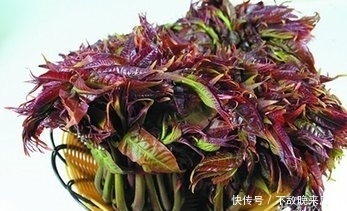 解毒|农村3大野菜宝贝,个个营养价值高,健脾开胃、利尿解毒、治牙痛