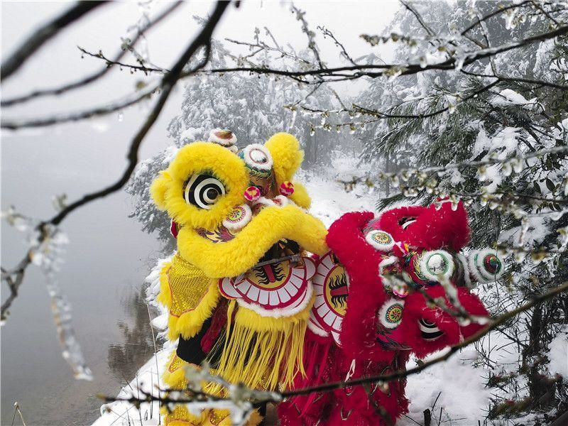 北京冬奥会|氛围感拉满！嵊州上演一场雪中舞狮大戏，助力北京冬奥会