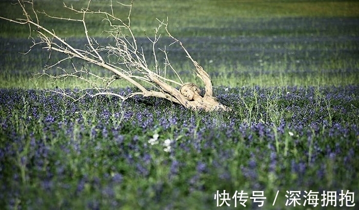 艺术家|美女不穿衣服藏进大自然，惊人伪装考验你的眼力！1秒找到真汉子