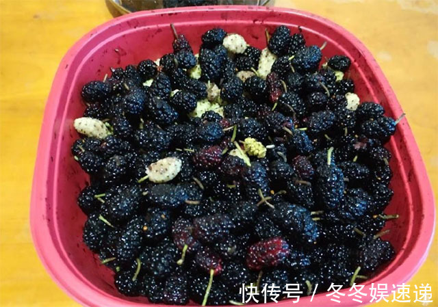 健康|女人养子宫，是在养命，谨记3吃3不吃，活血化瘀，预防妇科炎症