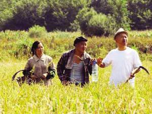 失眠|有人半夜失眠无法入睡，杂杂来告诉你，怎样解决这一苦恼