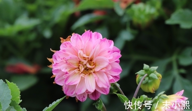 3星座|5天以后,一切都顺利的3星座,将会喜迎好兆头,家中财运上涨