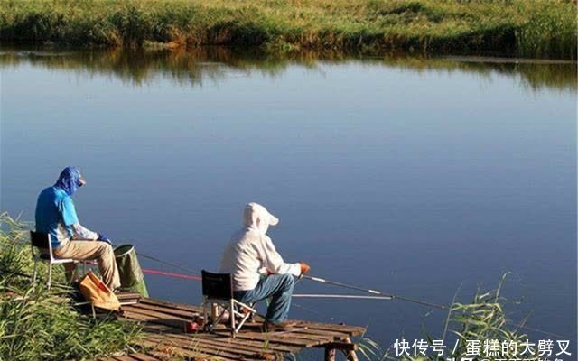 垂钓|夏天手竿钓鲢鳙,要分5个步骤走,先聚鱼再钓鱼,大鱼连竿不间断