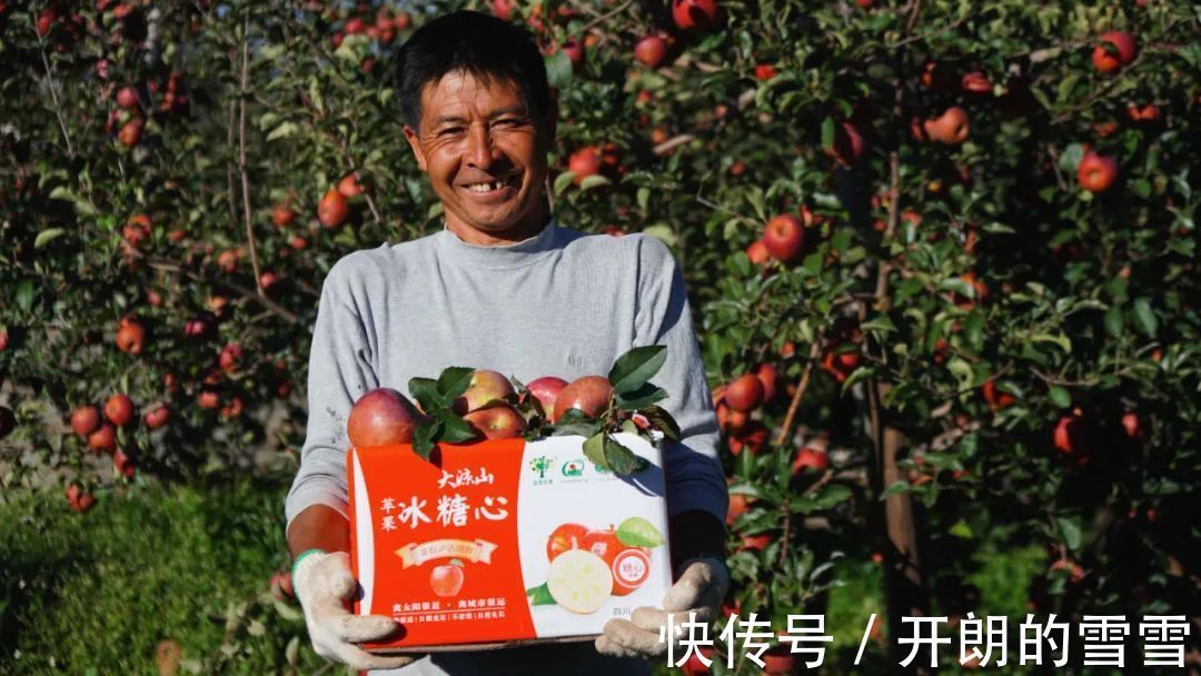 品牌|拼多多给国货品牌加了一把火