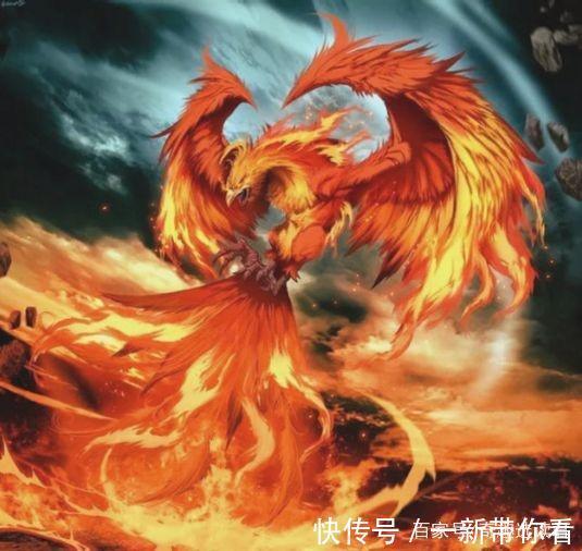 天使|《斗罗大陆》系列公认最强大的10个武魂，天使上榜，第1是条龙