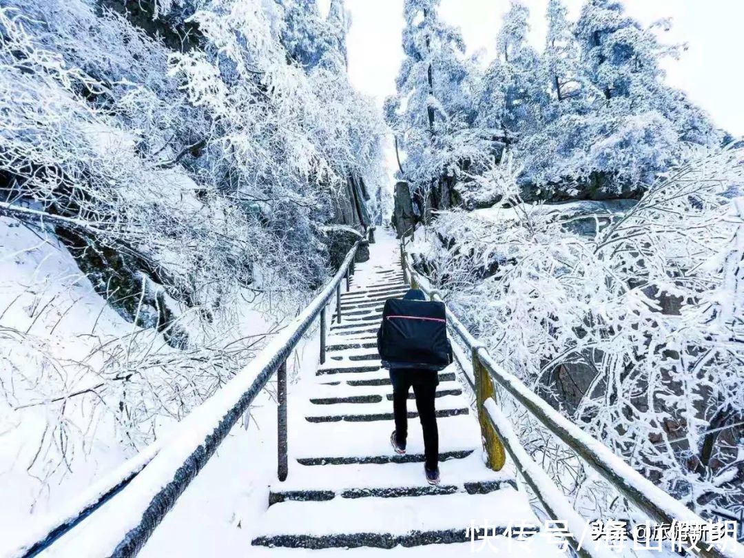 秋天|秋景雪景争相斗艳！洛阳白云山迎来今年秋天的第二场雪