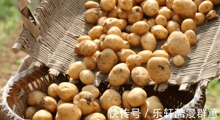 营养|秋天,不妨试试这5道家常菜,有荤有素,好吃营养高,主要很好做