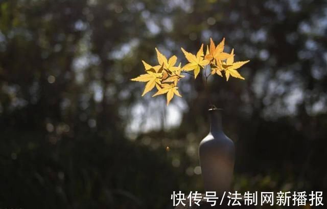 度宗咸淳$诗僧笔下的秋天,不仅有最美的秋色,还有浓浓禅意,令人回味无穷