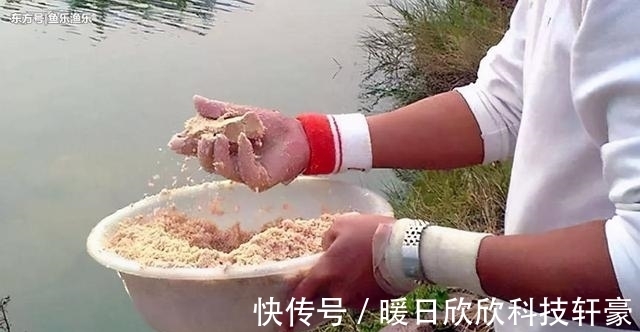 鲤鱼|夏季白天想要钓好草鲤鱼,除了晚上夜钓,我们还可以试试这两招