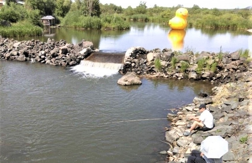 窝点|夏季野钓,突然无鱼口,不是钓技不好,原来是这几种因素