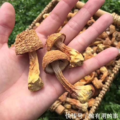 血脂|高血脂不能吃土豆?医生提醒:一旦血脂偏高,这3种素食也要忌口