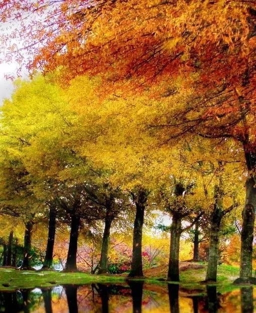 中老年人|50岁以后，不要自作多情