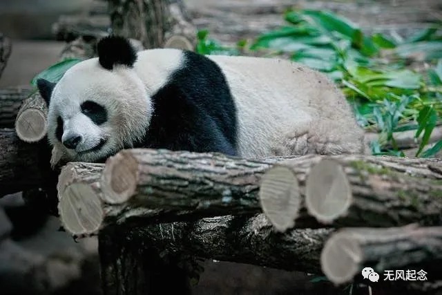 竹林七贤@竹林七贤过的是“躺平”的生活?