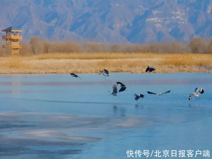 老年|延庆龙庆峡年初四前预约购票人数已达到上限