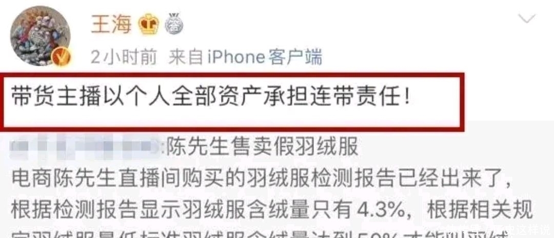 王海|职业打假人王海盯上电商陈先生，陈先生卖的羽绒服含绒量4.3%！