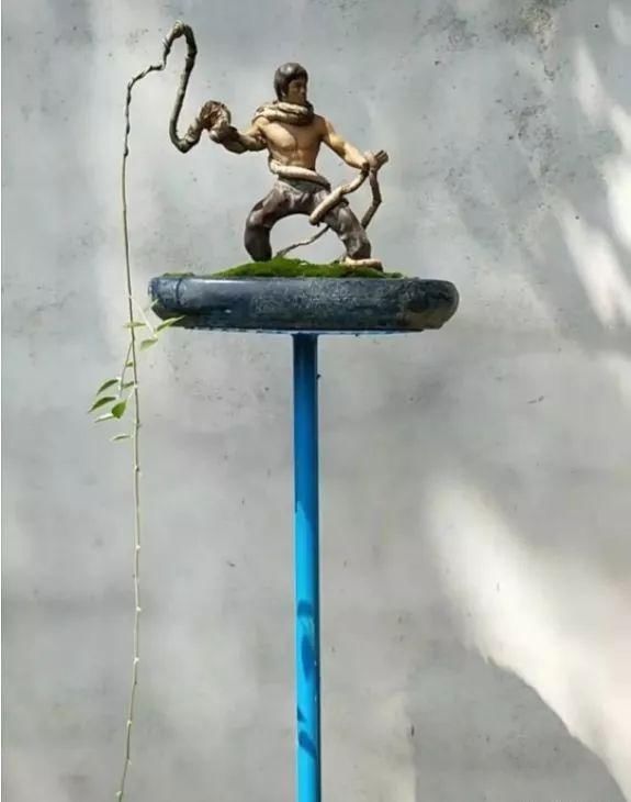 盆景玩成这样，真无语……